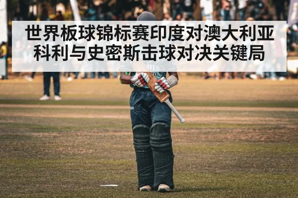 cricket batsman batting stadium
